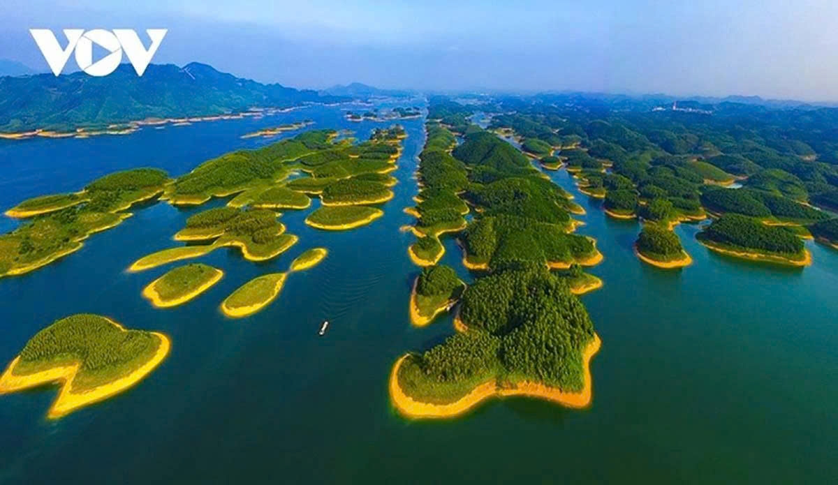 Complete legal framework needed to develop carbon market in Vietnam